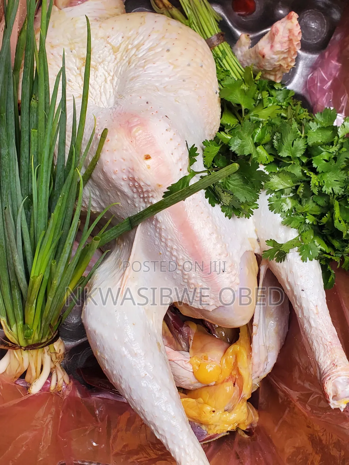 Dressed Turkey