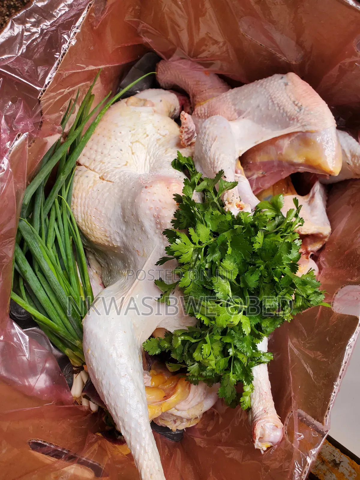 Dressed Turkey