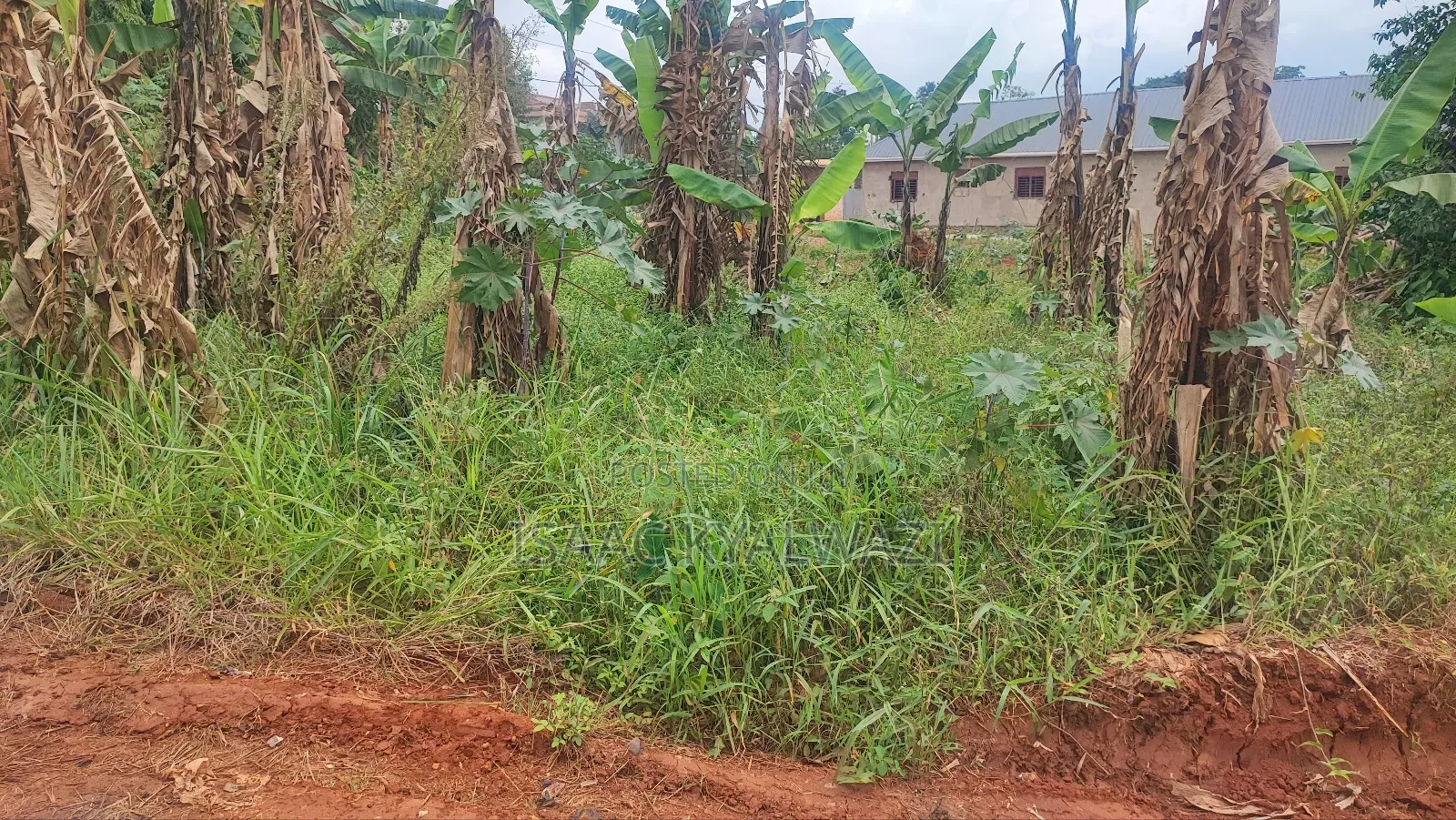 Land Sale in Buwate