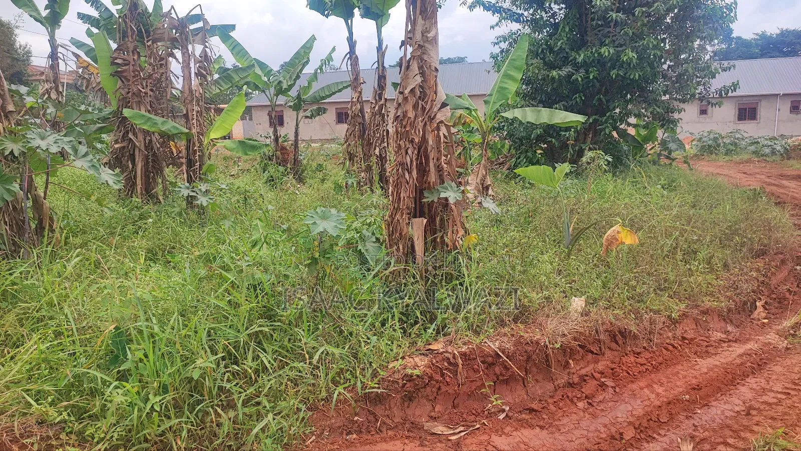 Land Sale in Buwate