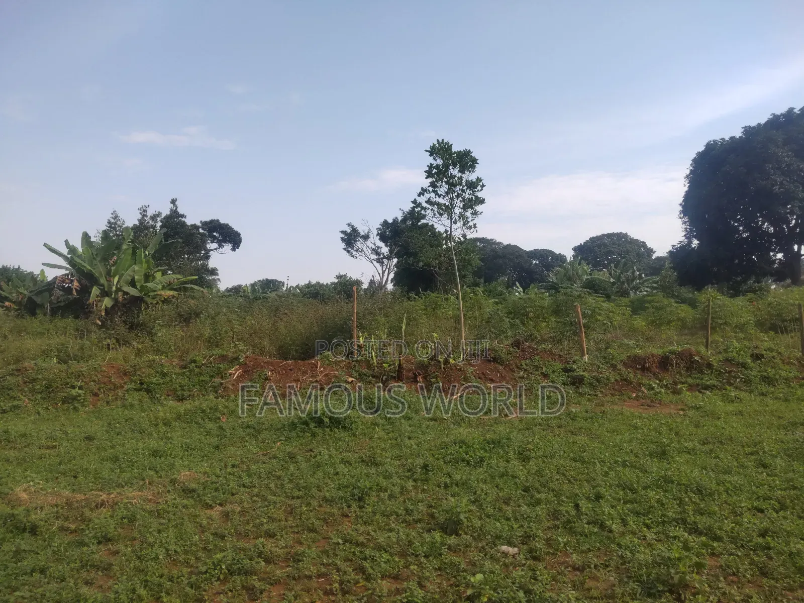Bussi Island Farming And Residential Plots