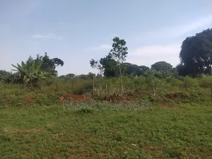Bussi Island Farming And Residential Plots