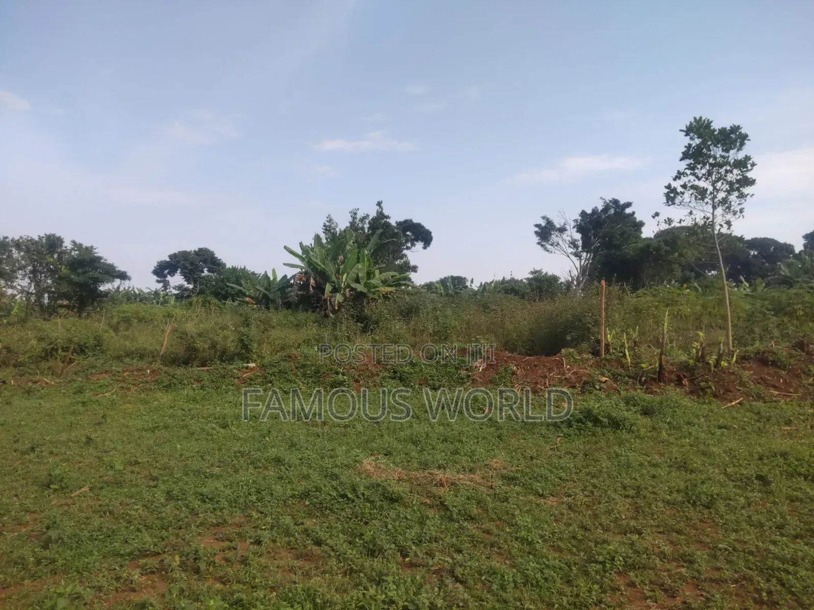 Bussi Island Farming And Residential Plots