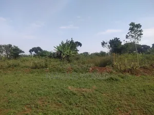 Bussi Island Farming And Residential Plots