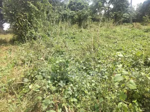 Bussi Island Farming And Residential Plots