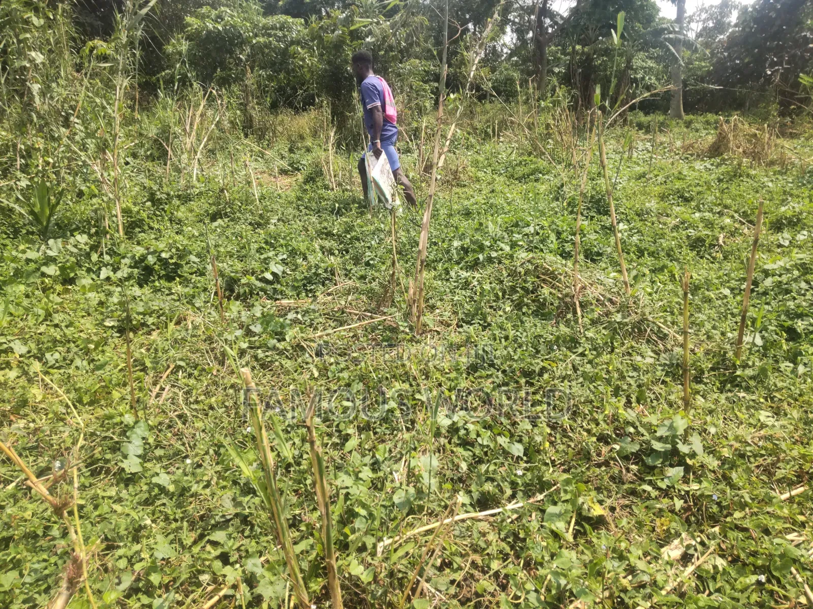 Bussi Island Farming And Residential Plots