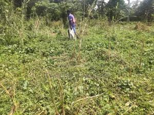 Bussi Island Farming And Residential Plots