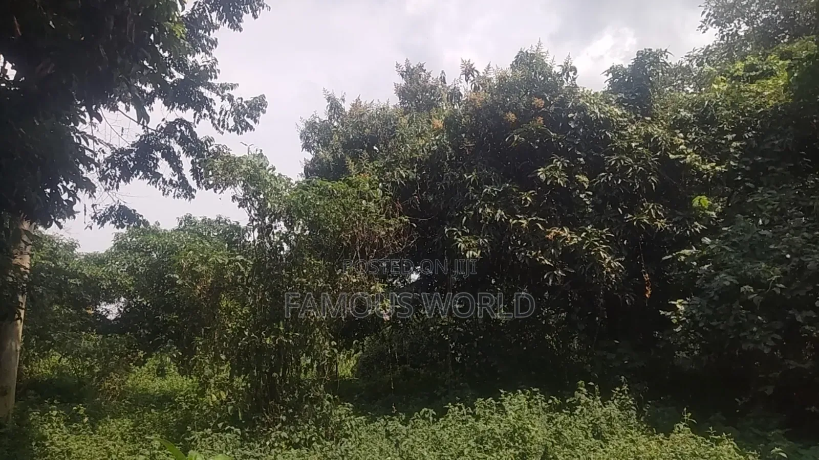 Bussi Island Farming And Residential Plots