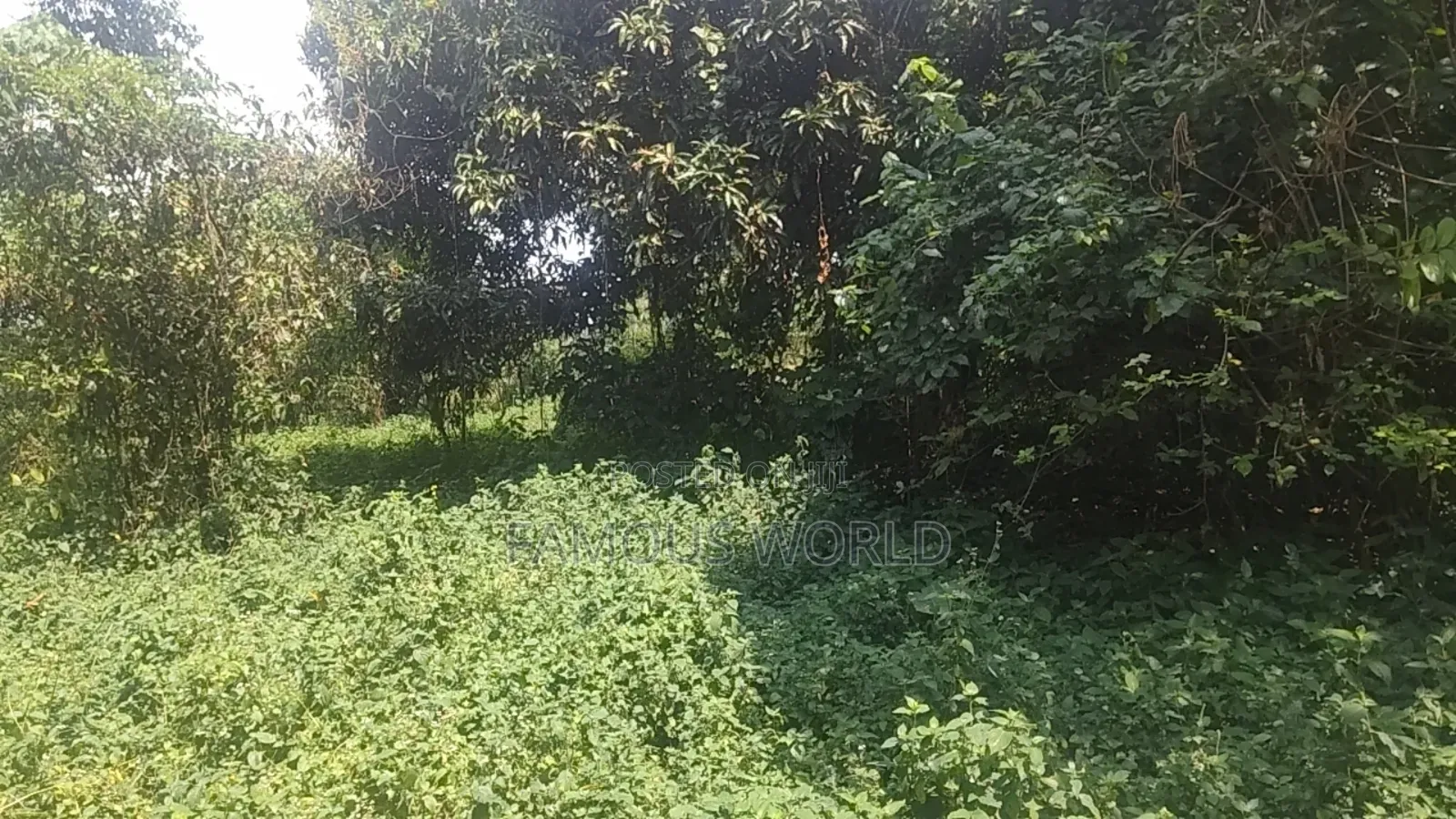 Bussi Island Farming And Residential Plots
