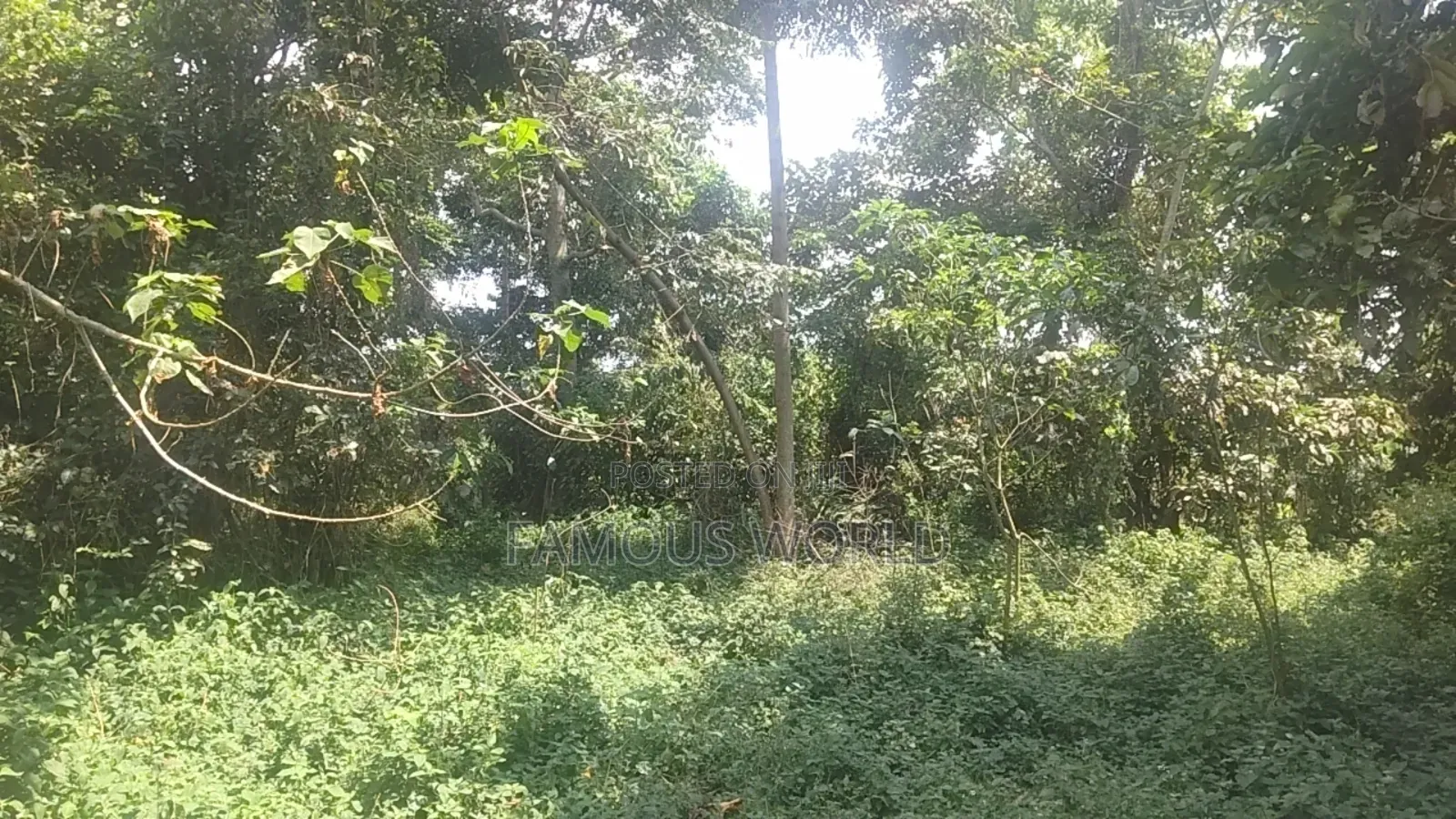 Bussi Island Farming And Residential Plots