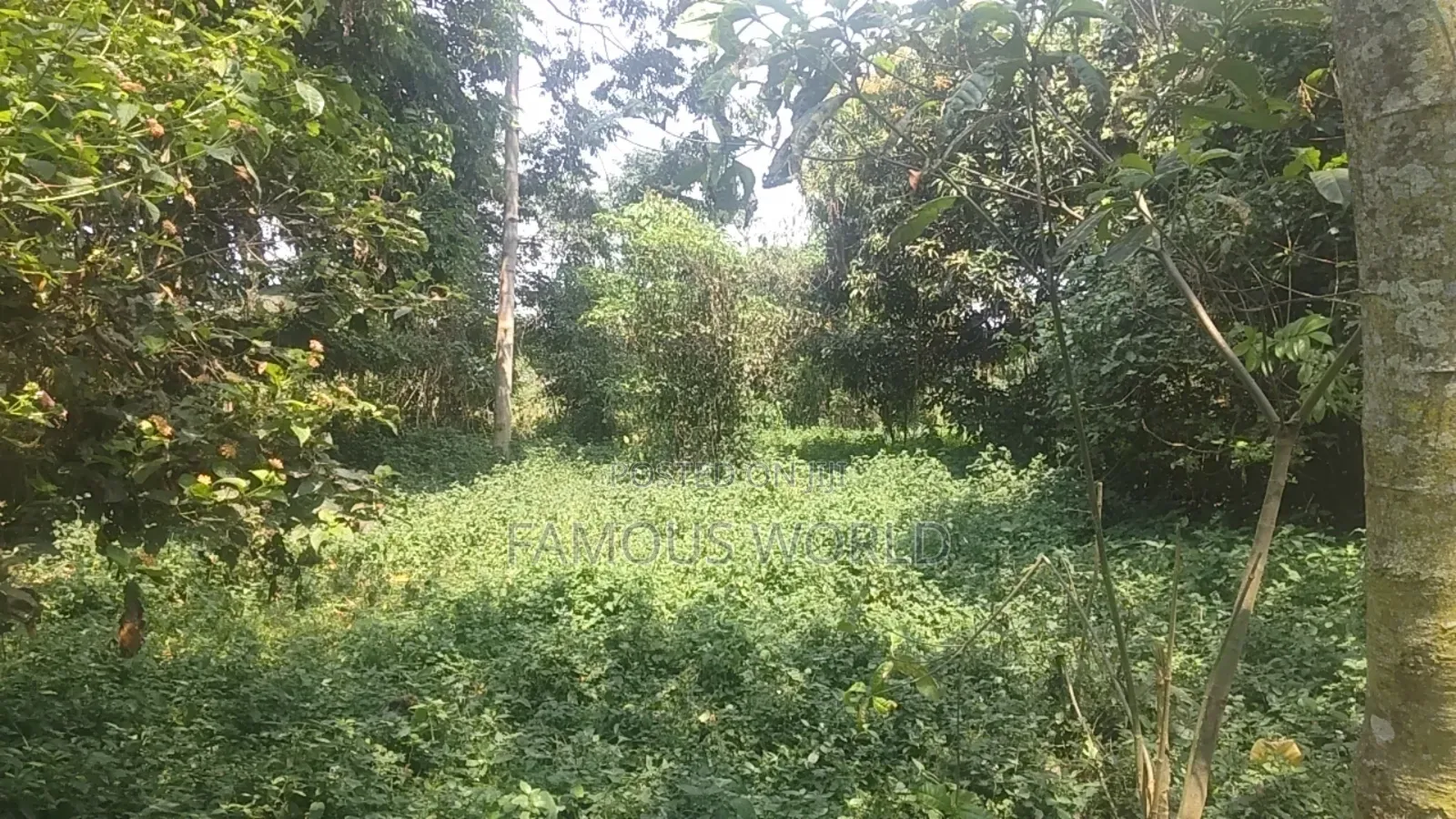 Bussi Island Farming And Residential Plots