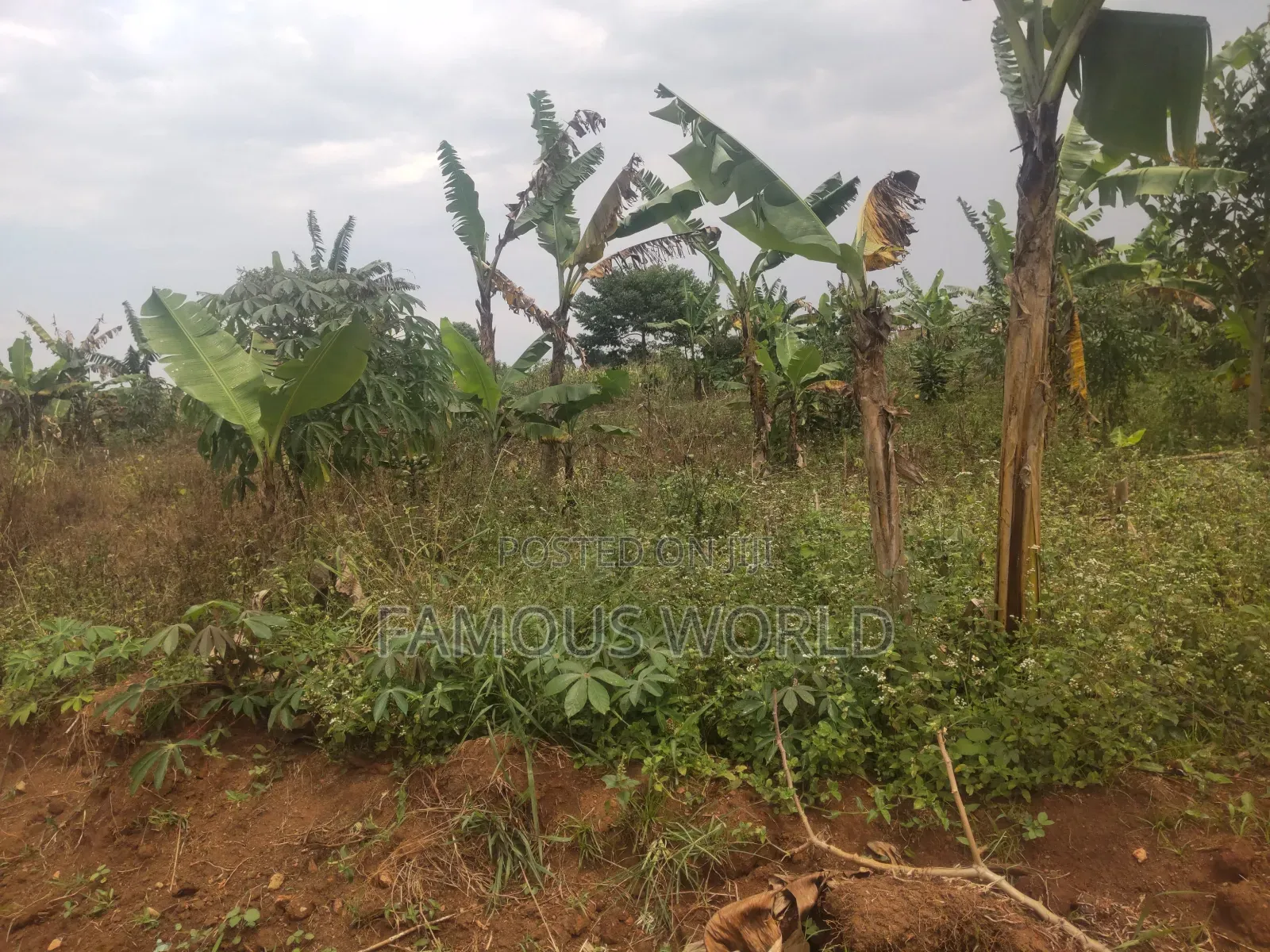 Bussi Island Farming And Residential Plots