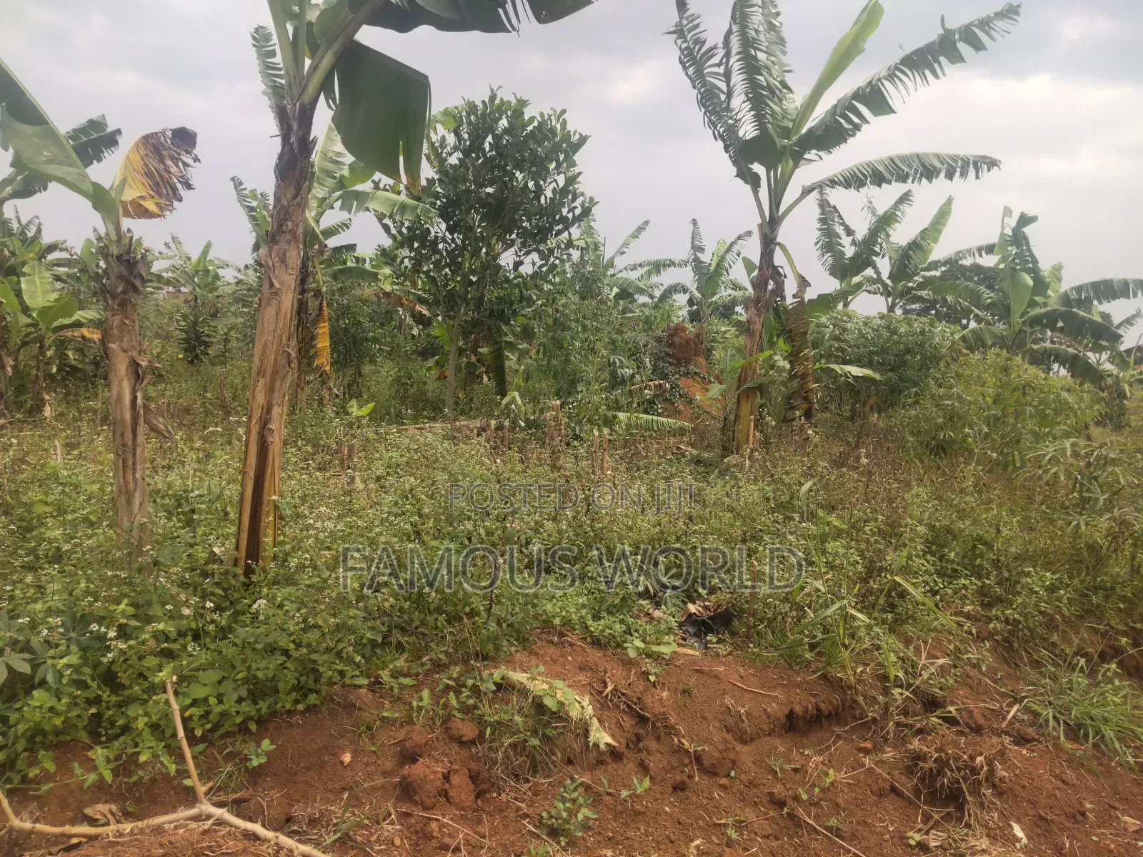 Bussi Island Farming And Residential Plots