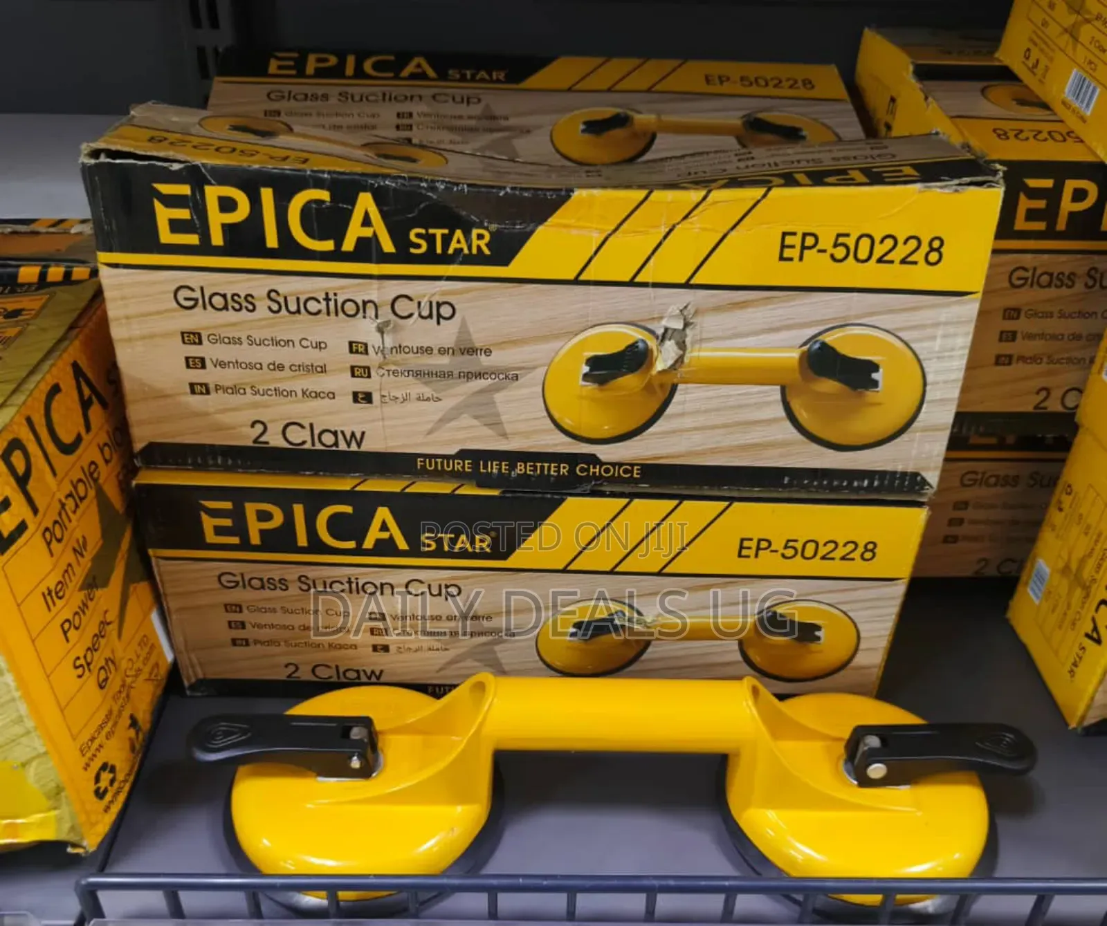 Epica Star Glass Suction Cup