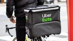 Delivery Bag