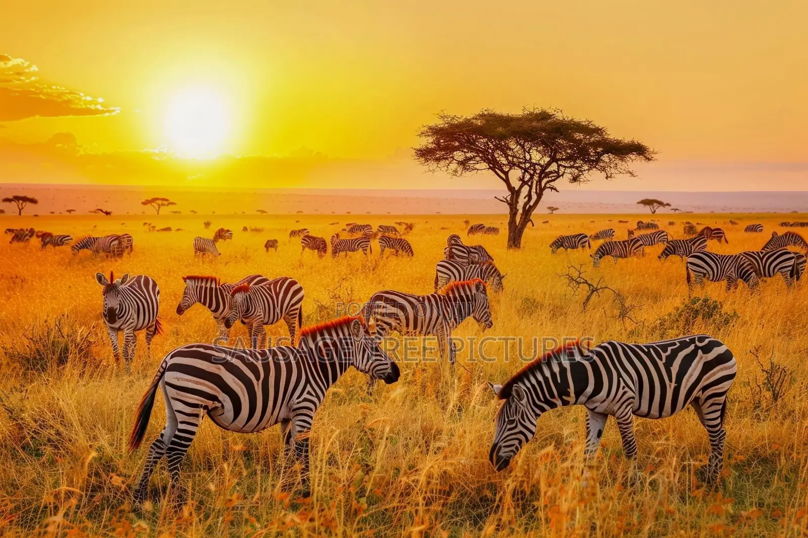Best Website Designers In Uganda
