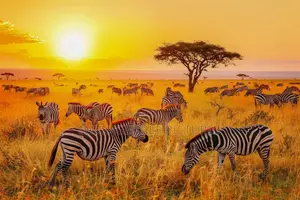 Best Website Designers In Uganda