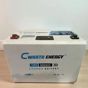 Power Freedom: Cworth 3.84kwh Lithium Energy Battery