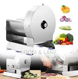 2in1(Manual and Electric) Commercial Vegetable Slicer