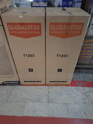 Globalstar T1203 Full Range Pair