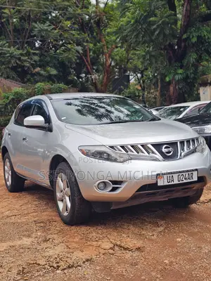 Nissan Murano 2012 Silver
