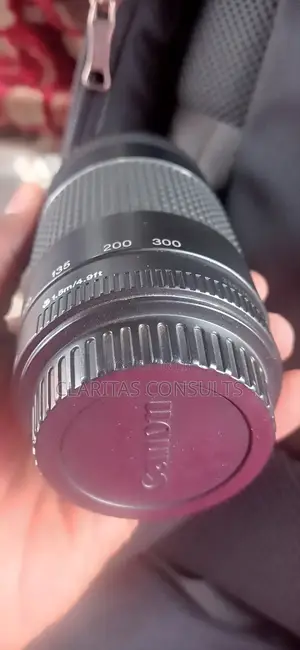 Canon Ef 75-300mm F/4-5.6 Iii Lens