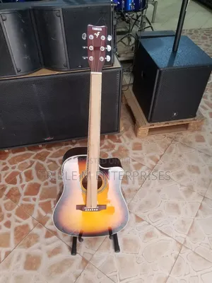 Acoustic Guitar