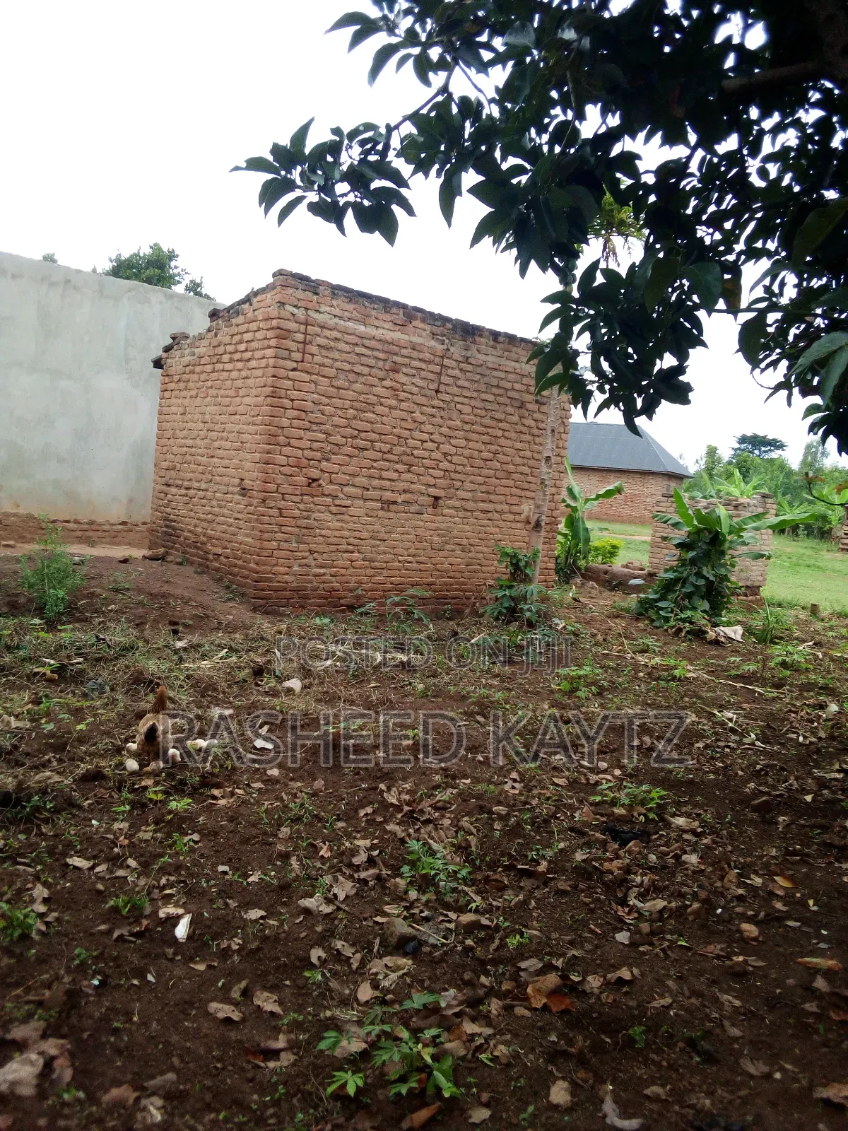 1bdrm House in Ndeba, Bugiri for sale