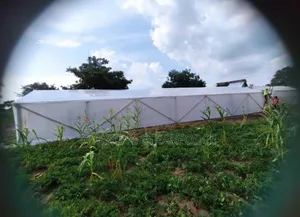 Solar Dryer for Crops and Others