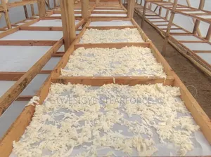 Solar Dryer for Crops and Others