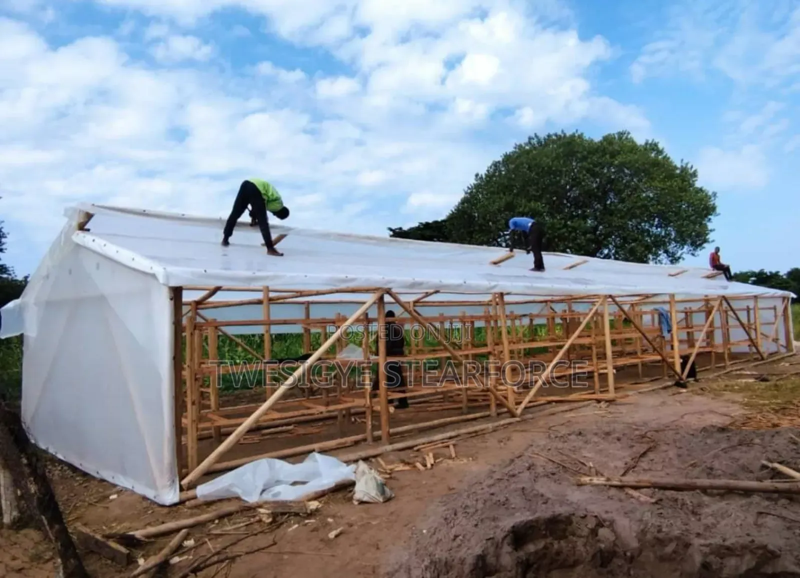 Solar Dryer for Crops and Others