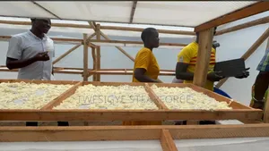 Solar Dryer for Crops and Others