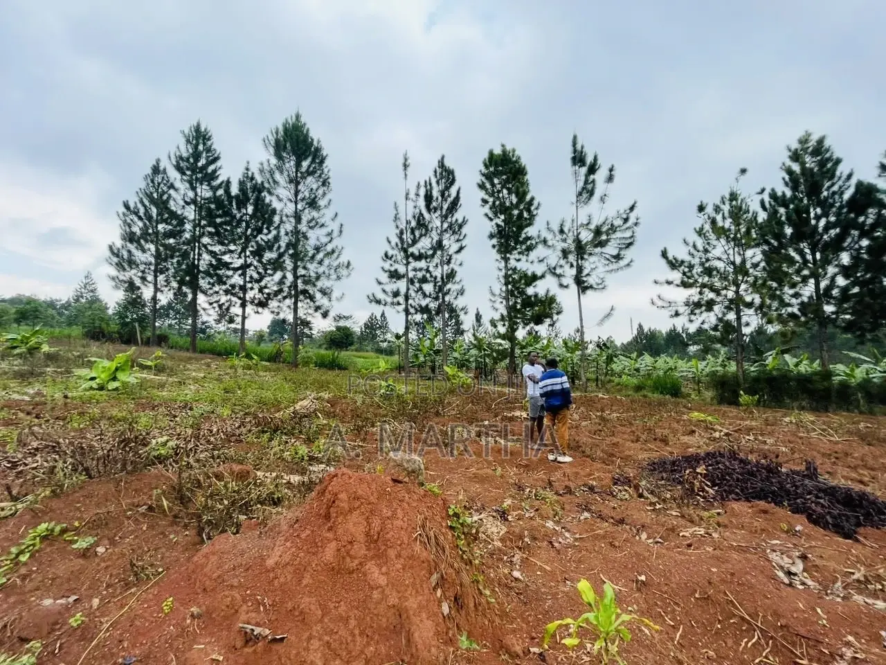 Land for Sale in Kisoga Mukono