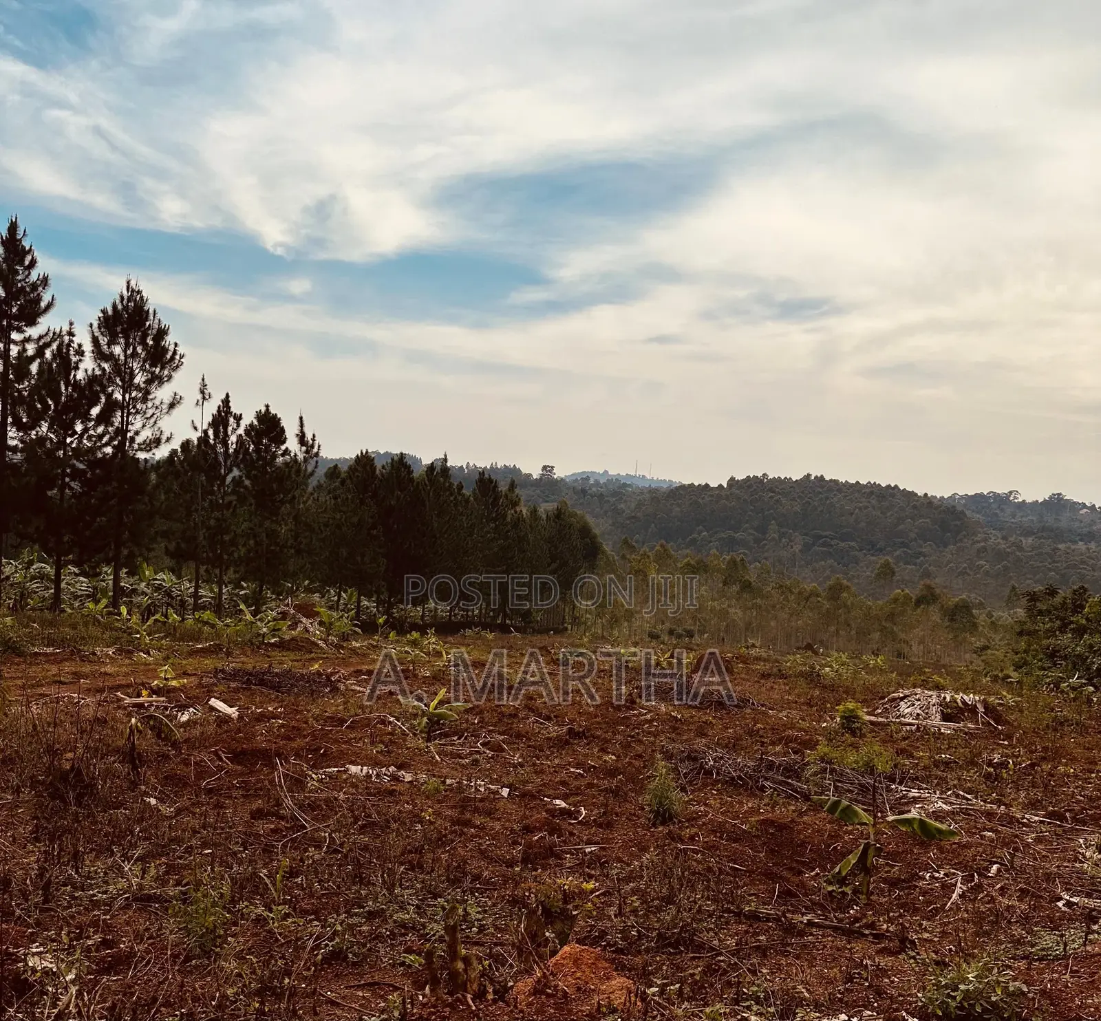Land for Sale in Kisoga Mukono