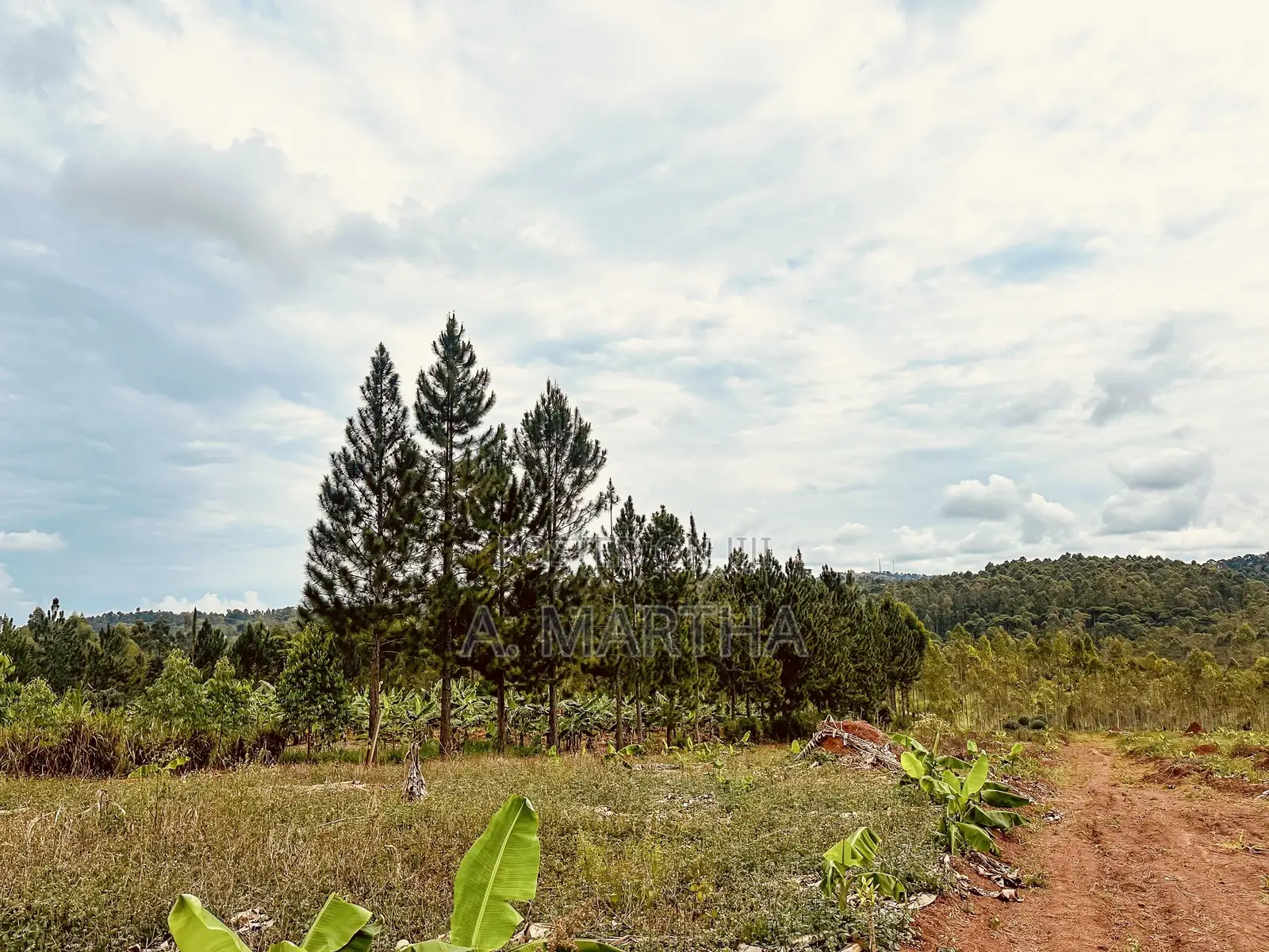 Land for Sale in Kisoga Mukono