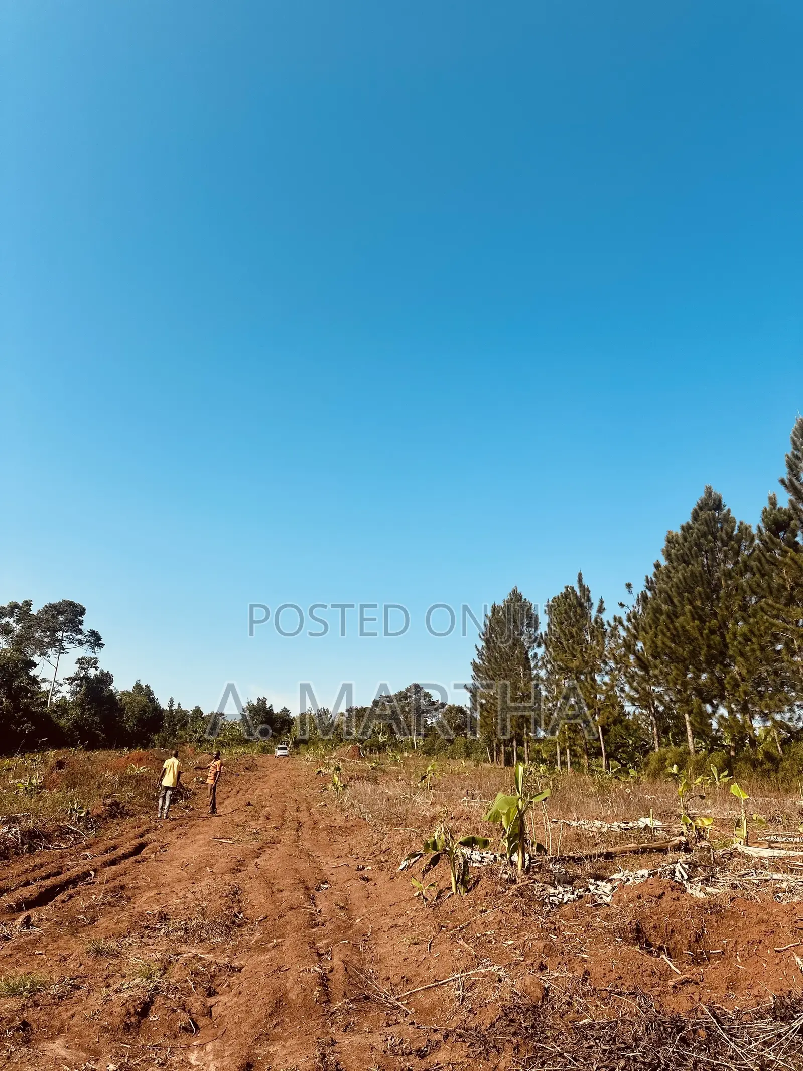 Land for Sale in Kisoga Mukono