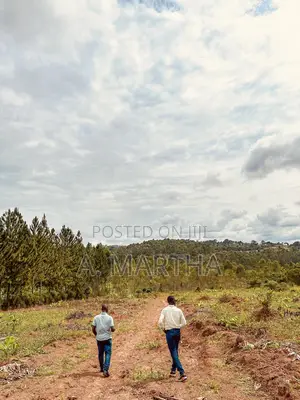 Land for Sale in Kisoga Mukono