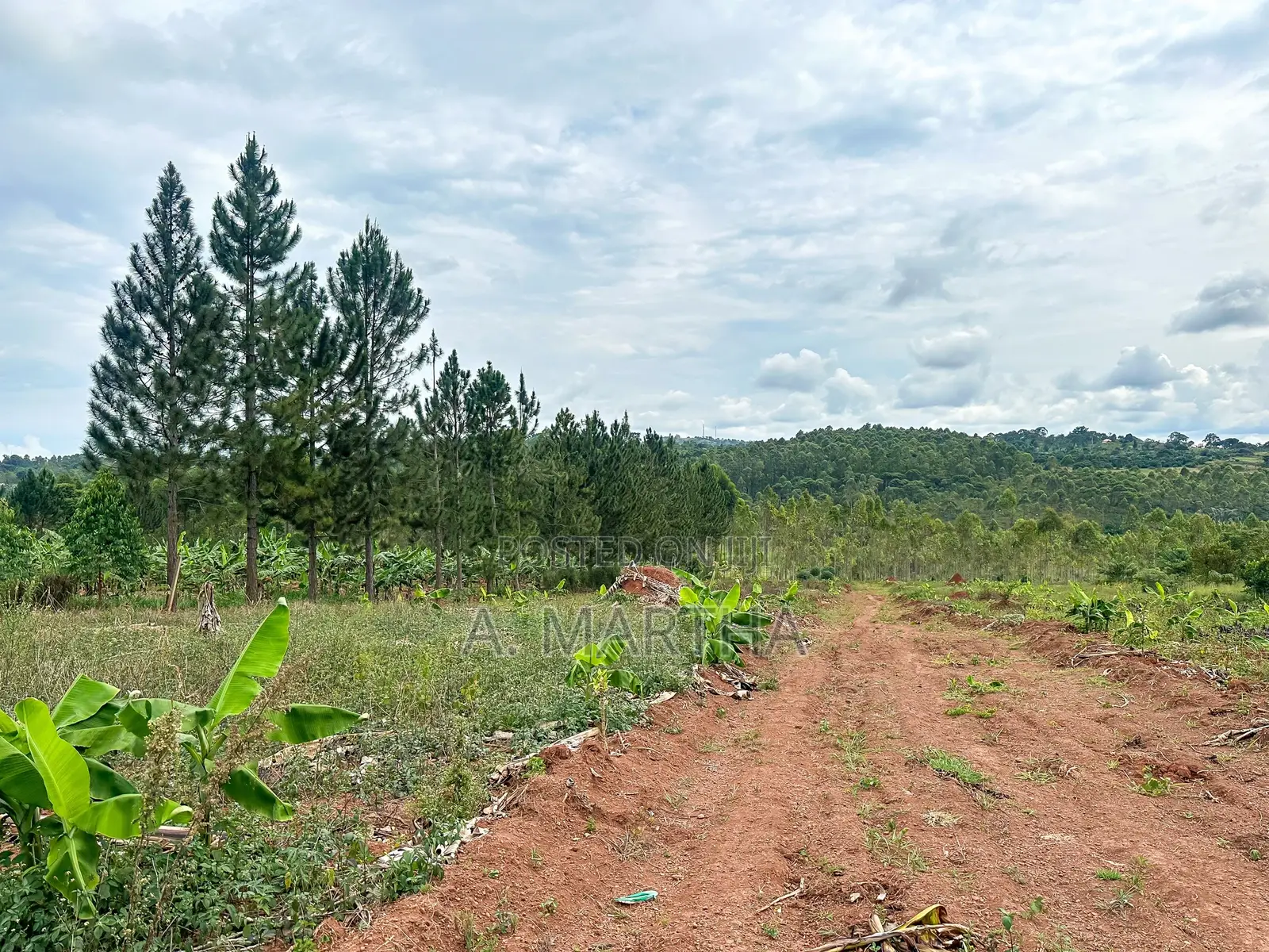 Land for Sale in Kisoga Mukono