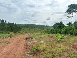 Land for Sale in Kisoga Mukono