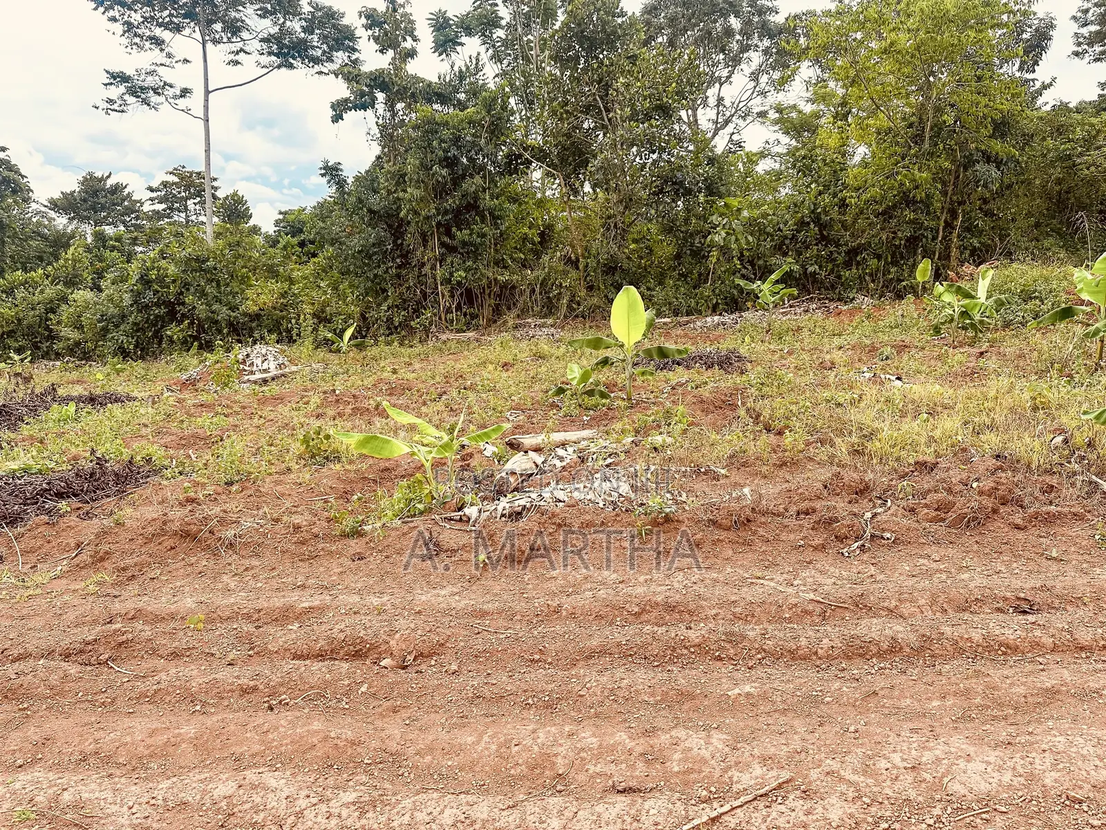 Land for Sale in Kisoga Mukono