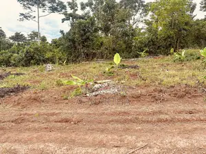 Land for Sale in Kisoga Mukono