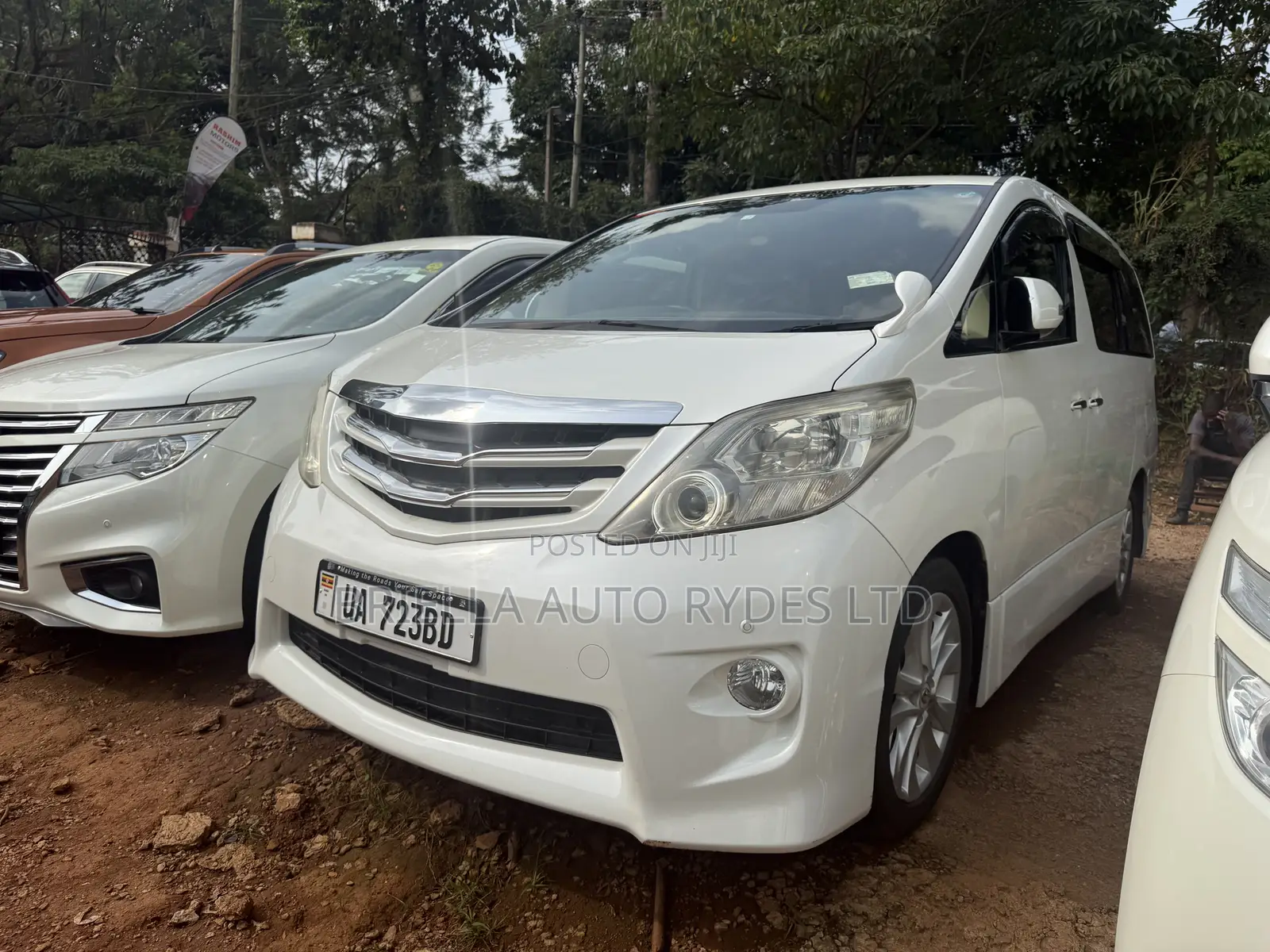 Toyota Alphard 2009