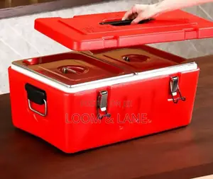 Hot and Cold Double Dish Insulated Food Container