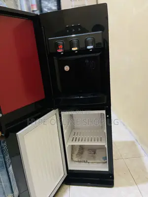 Water Dispenser With a Refrigerator