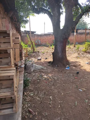 Business Plot Fit for Investment