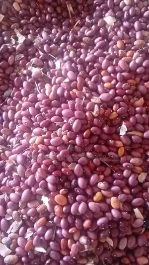 Purple Beans