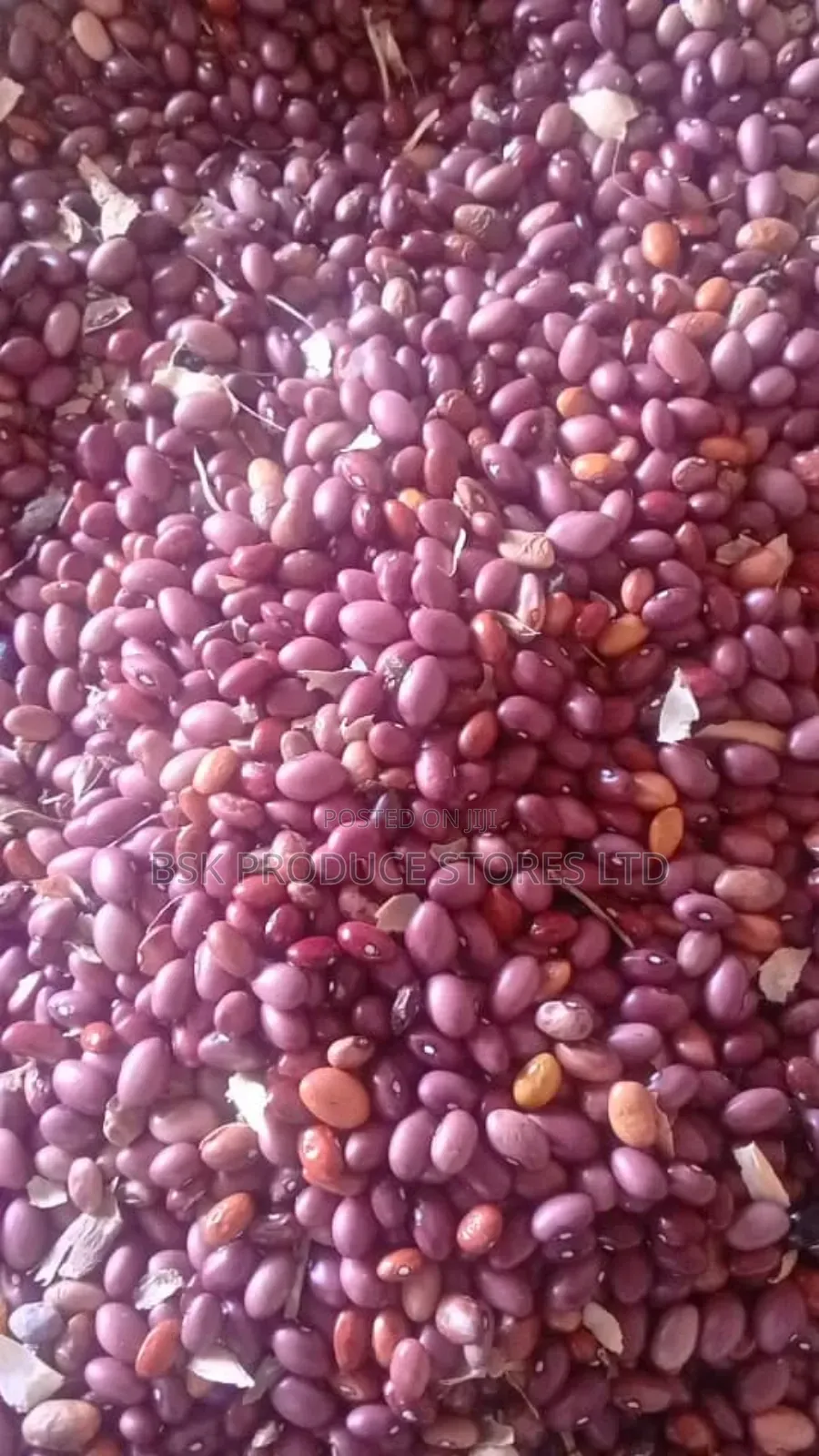 Purple Beans