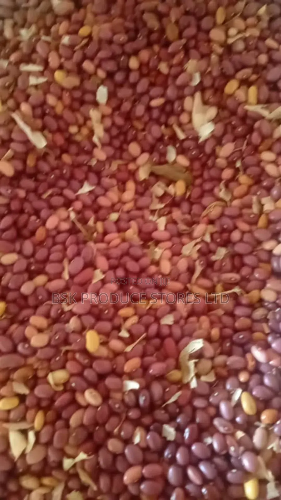 Purple Beans