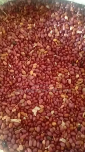 Purple Beans