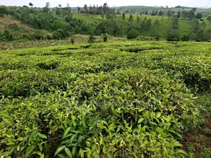 Agricultural Land on Sale